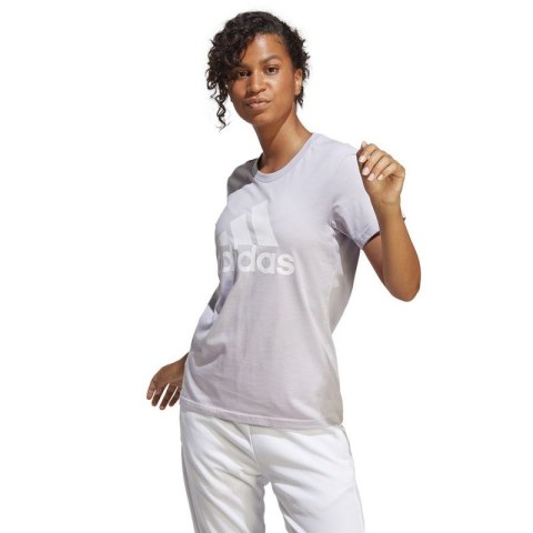 Koszulka adidas Big Logo Tee W IC0633 Koszulka adidas Big Logo Tee W IC0633
