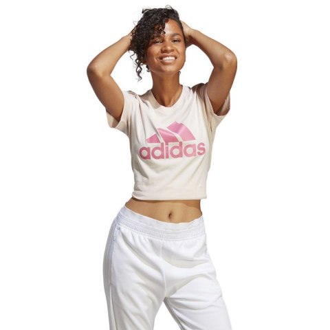 Koszulka adidas Big Logo Tee W IB9455 Koszulka adidas Big Logo Tee W IB9455