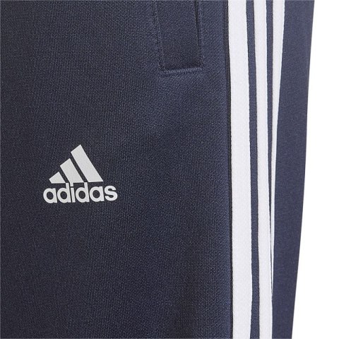 Spodenki adidas Designed 2 Move 3-Stripes Shorts Jr HN8544 Spodenki adidas Designed 2 Move 3-Stripes Shorts Jr HN8544