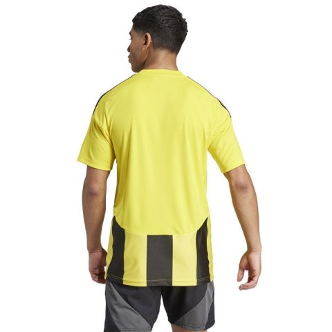 Koszulka adidas Striped 24 JSY M IW2146 Koszulka adidas Striped 24 JSY M IW2146