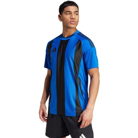 Koszulka adidas Striped 24 Jersey M IW2147 Koszulka adidas Striped 24 Jersey M IW2147