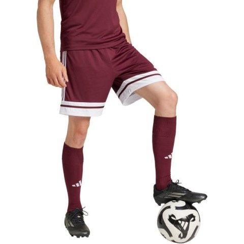 Spodenki adidas Squadra 25 M JC8677 Spodenki adidas Squadra 25 M JC8677